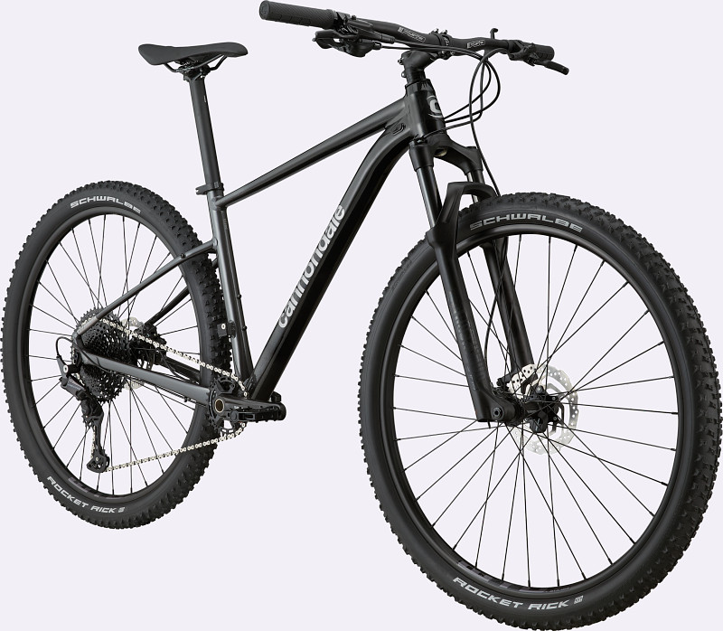 Cannondale Trail SL3 BE-Cycle